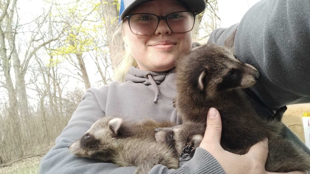 Platinum Bat Removal LLC